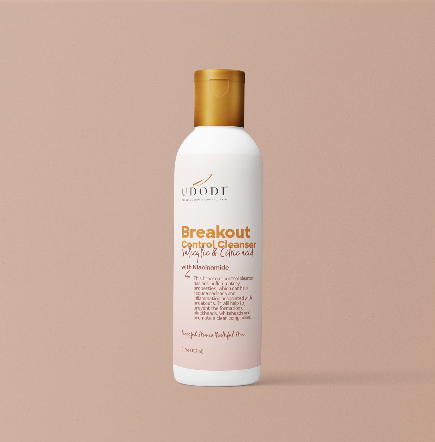 Breakout Control Cleanser