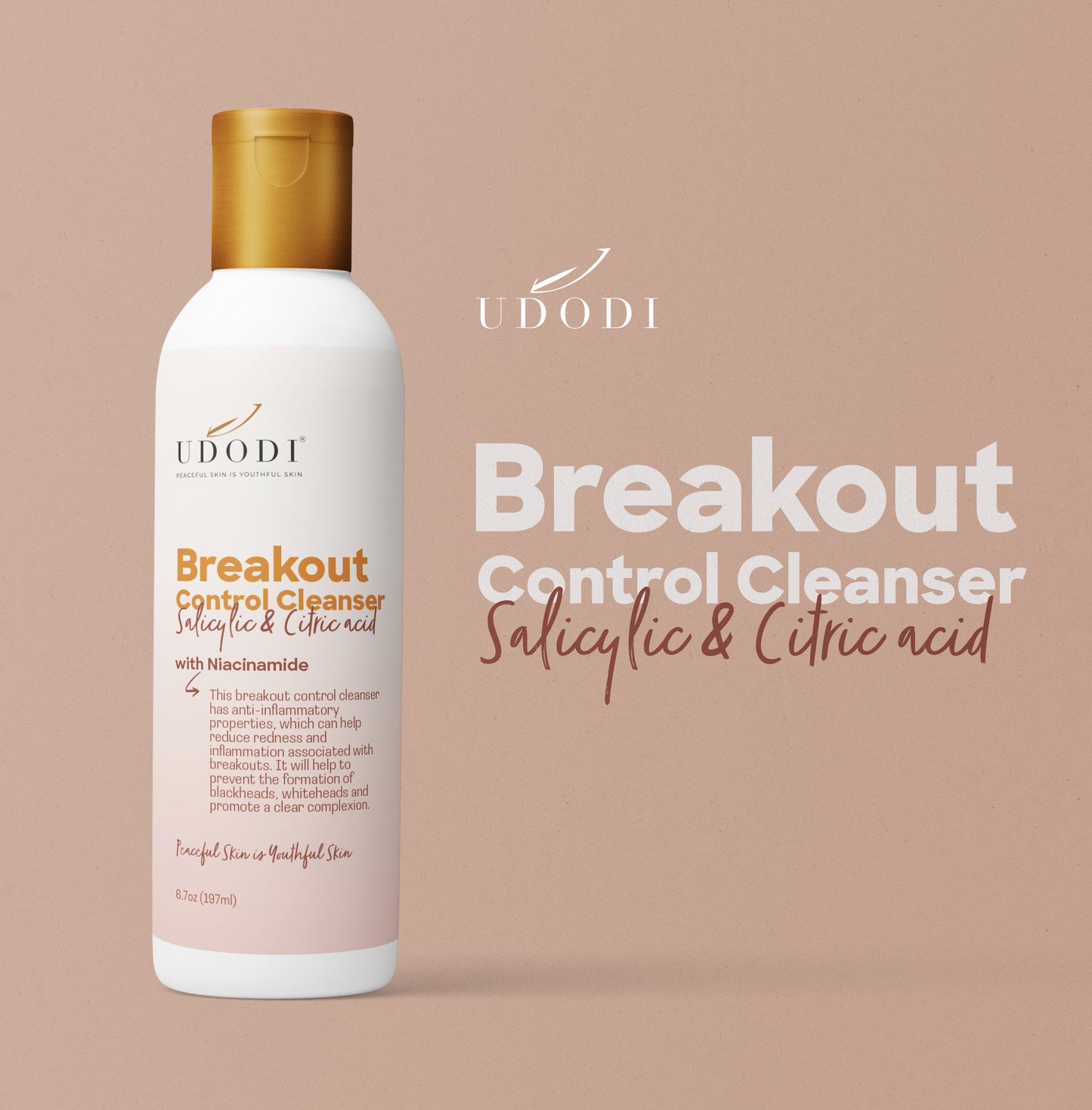 Breakout Control Cleanser